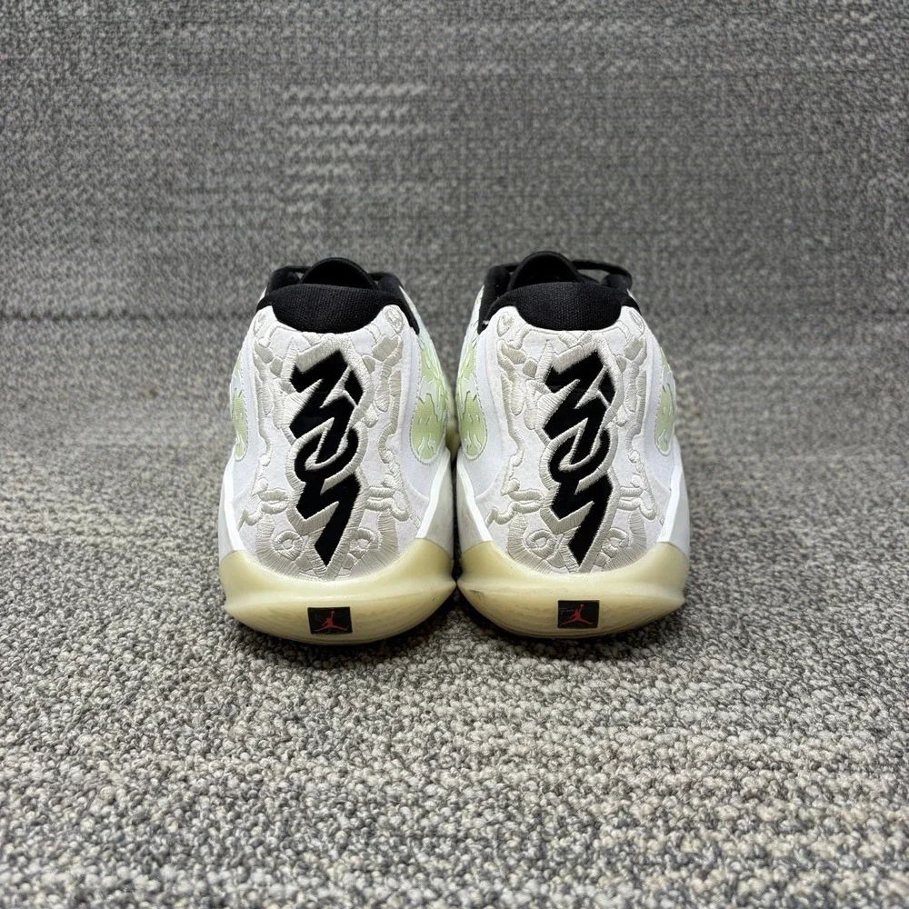 Jordan nike zion